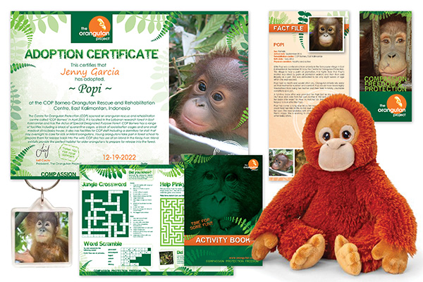 Sam and Cupcake The Orangutan Project