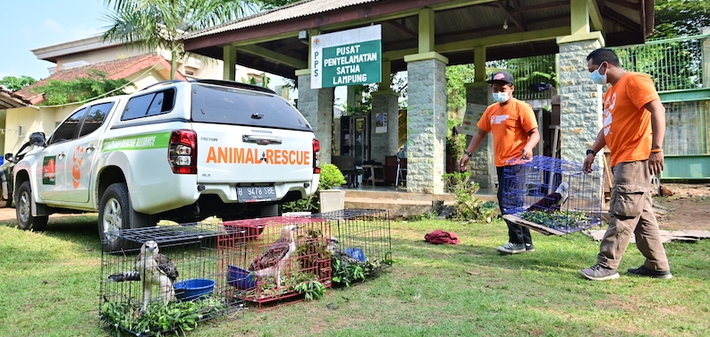 APE-Sentinel-Eagle-Rescue