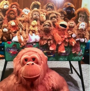 Randys-Orangutans